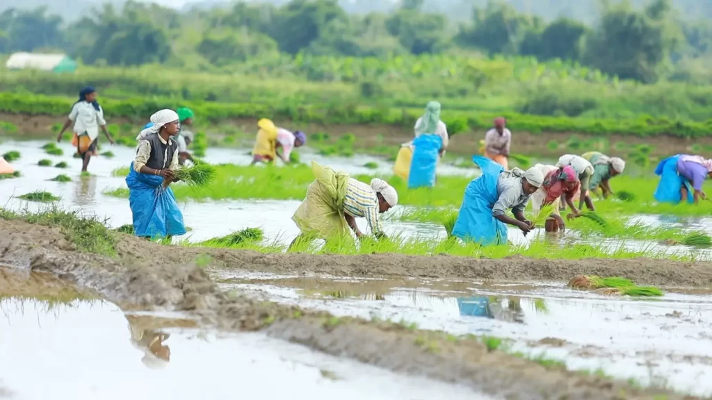Women Empowerment -GramInn